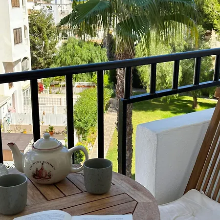 Calas Blancas 托雷维耶哈